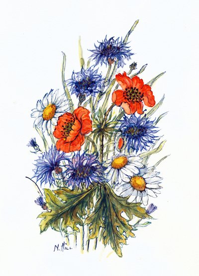 Bleuet, coquelicot et marguerite - Nell Hill